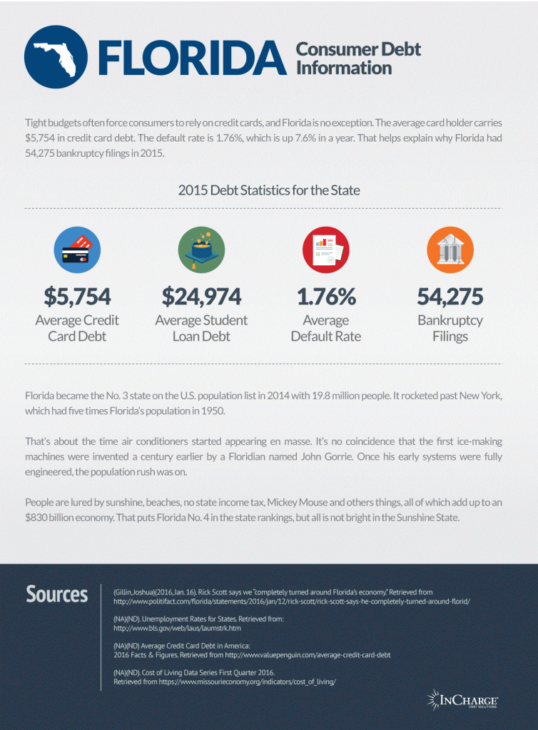 Florida Debt Statistics Infographic