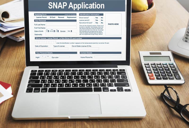 Georgia Food Stamp Eligibility Chart