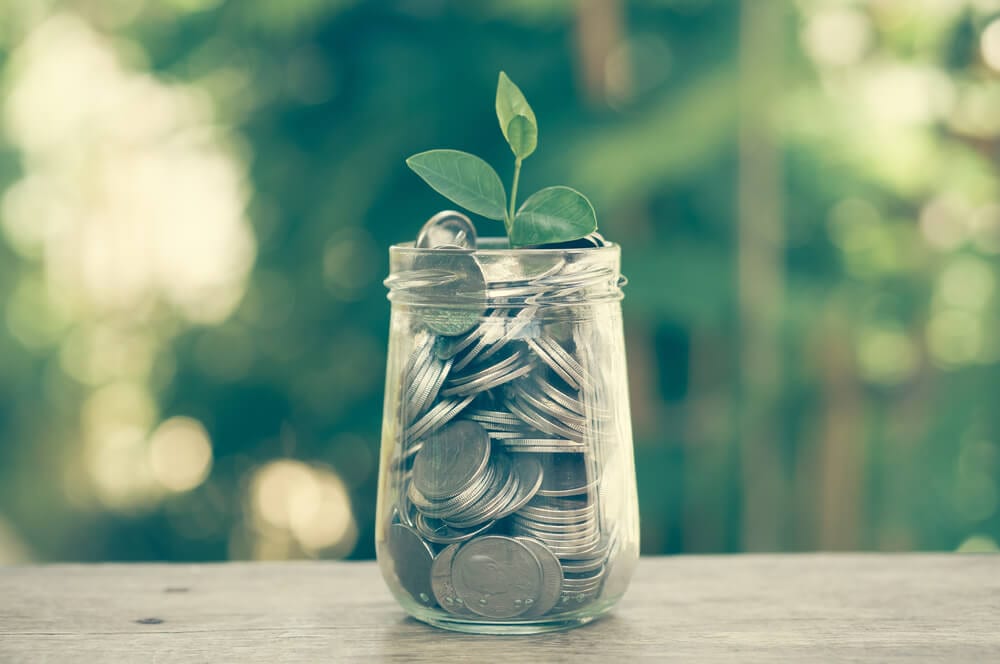 Save Money Jar Growing Plant (1)