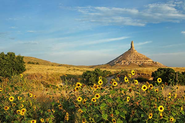 Landscape in Nebraska