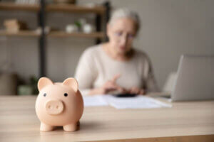 Elderly lady using calculator, personal budget concept
