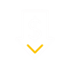 lower-payment-icon